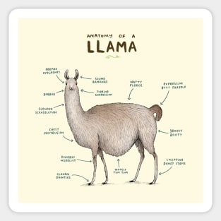 Anatomy of a Llama Sticker